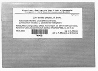 Image Associated With the Occurrence